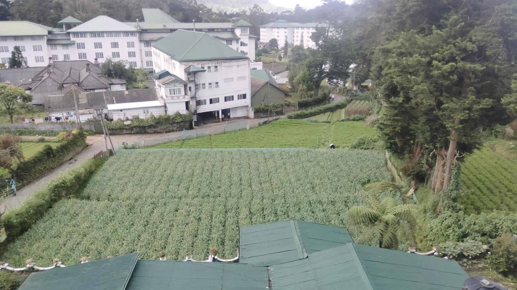 Nuwara Eliya Luxury Apartment ภายนอก รูปภาพ